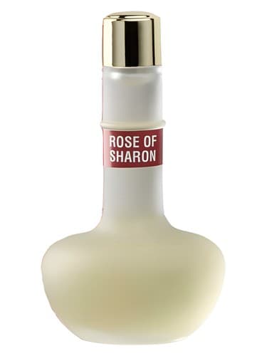 Rose of Sharon - رز شارون