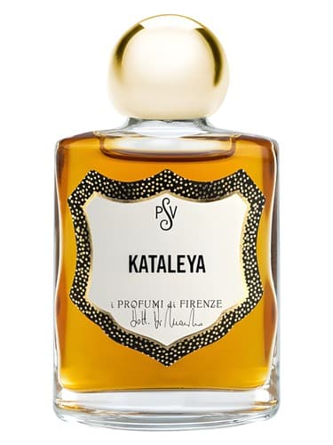 Kataleya - کاتالیا