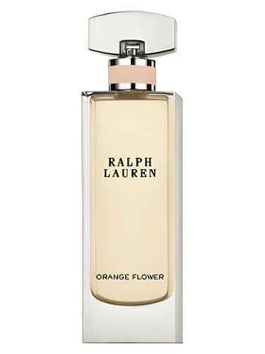 Riviera Dream - Orange Flower - Riviera Dream - گل اورنج