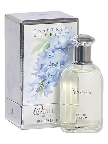 Wisteria - ویستریا