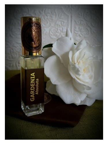 Gardenia Absoluta - گاردنیا ابسولوتا