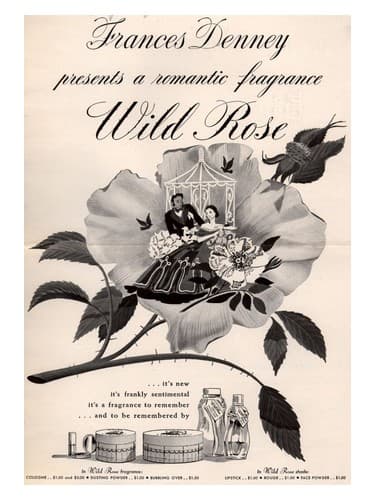 Wild Rose - رز وایلد