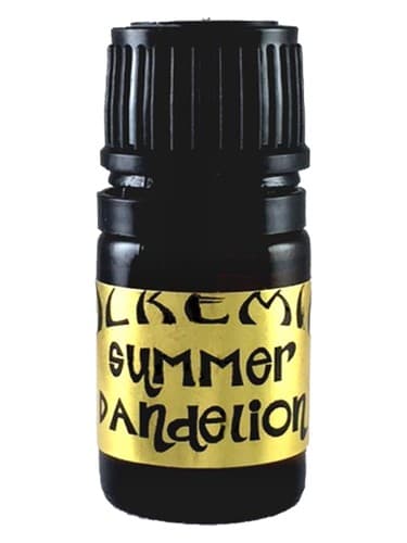 Summer Dandelion - قاصدک تابستانی