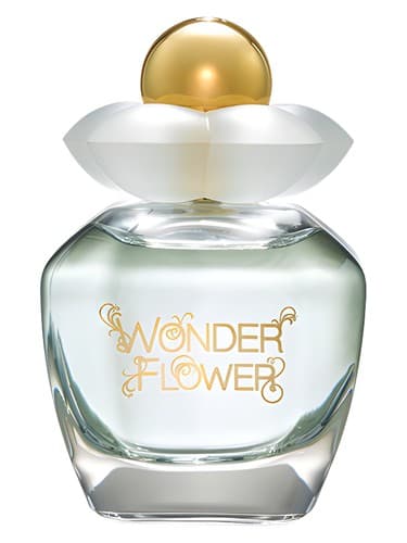 Wonder Flower - گل شگفت انگیز