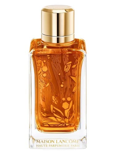 Oud Ambroisie - عود آمبرویزی