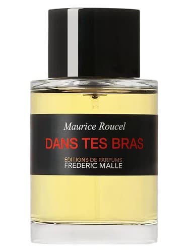 Dans Tes Bras - سوتین دان تس