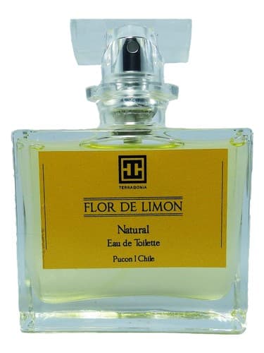 Flor de Limon - فلور دی لیمون