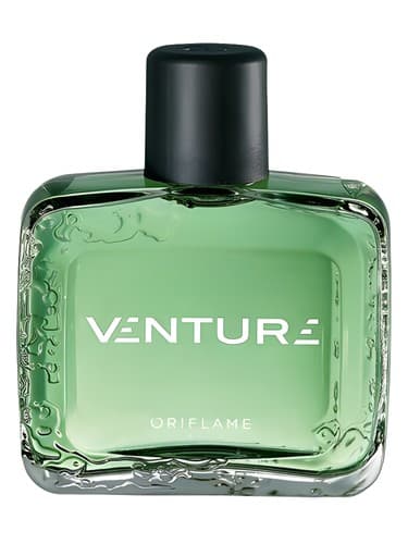 Venture - سرمایه گذاری