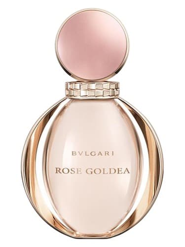 Rose Goldea - رز گلدیا