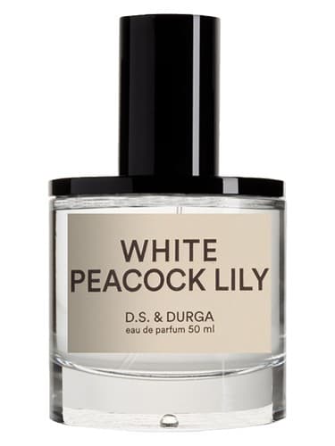 White Peacock Lily - لیلی طاووس وایت