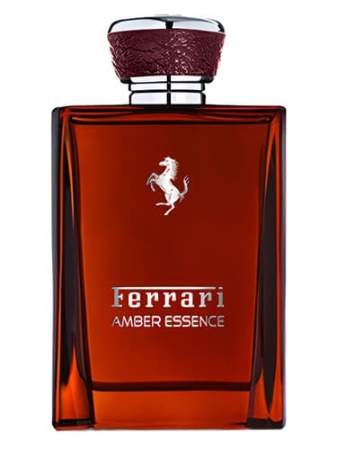 Amber Essence (2016) - جوهر امبر (2016)