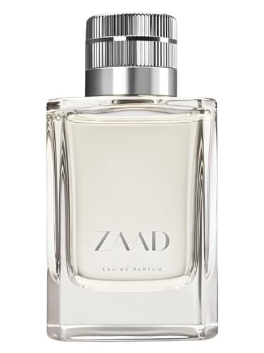 Zaad - زاد