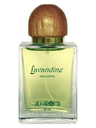 Lavandine - لاواندین