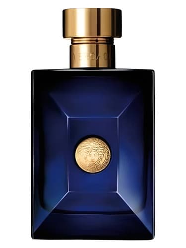 Versace Pour Homme Dylan Blue 