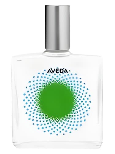 Desert Pure-Fume Joshua Tree - درخت جاشوا بیابان پیور