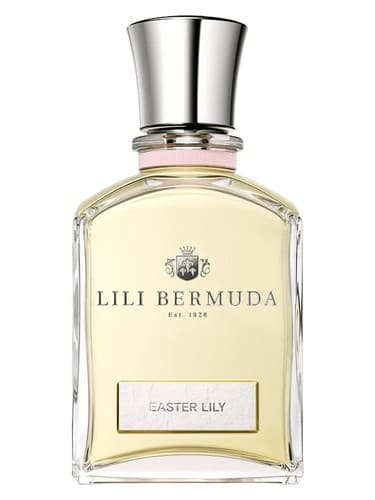 Easter Lily - لیلی عید پاک