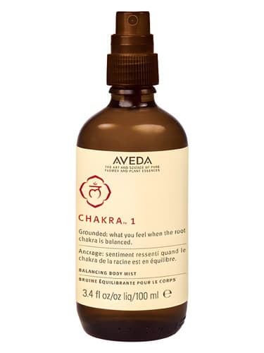 Chakra 1 Motivation