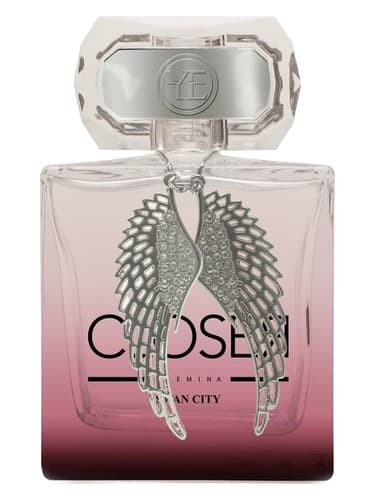 Closer Swan City - شهر قو نزدیکتر