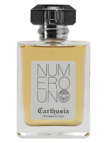 Numero Uno