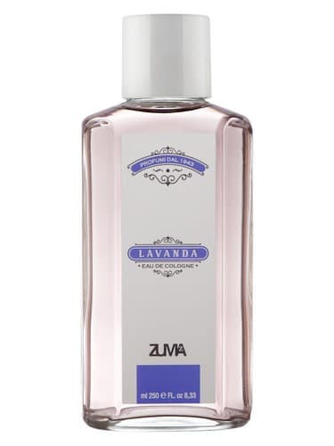 Lavanda - لاواندا
