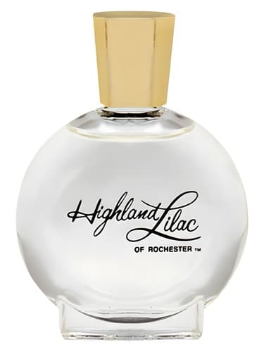 Highland Lilac - یاس کوهی