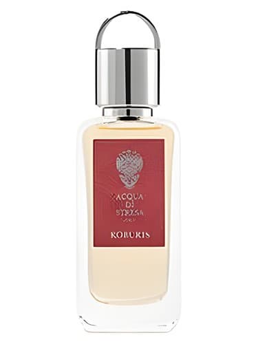 Roburis - روبوریس