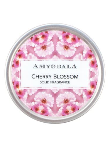 Cherry Blossom - شکوفه چری