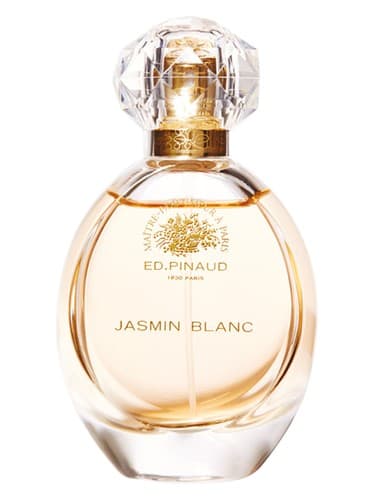Jasmin Blanc - یاسمین بلان