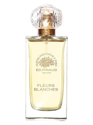 Fleurs Blanches