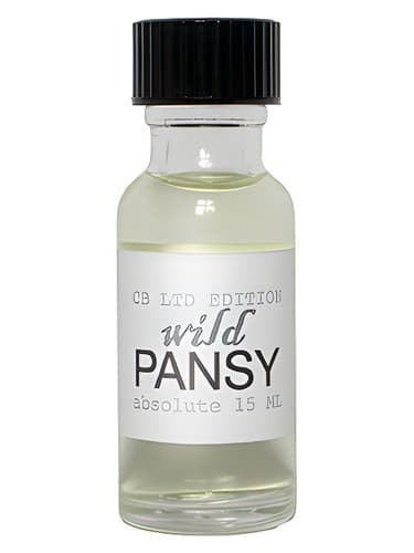Wild Pansy