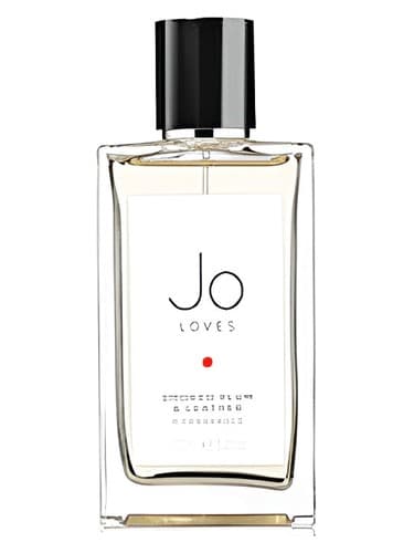Smoked Plum & Leather - آلو و چرم دودی