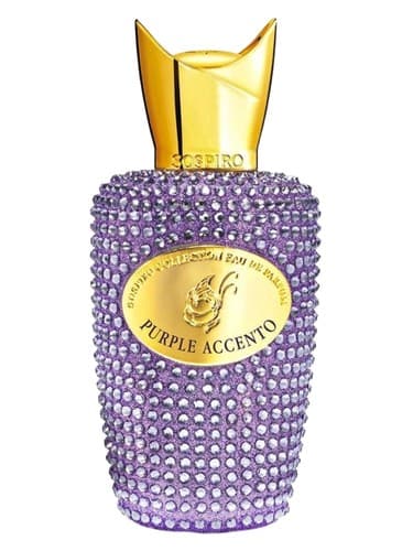 Purple Accento - اکسنتو وایولت