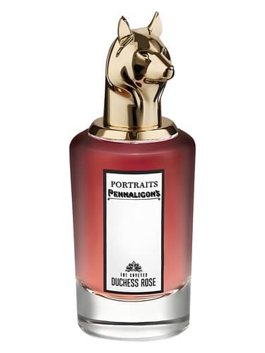 The Coveted Duchess Rose