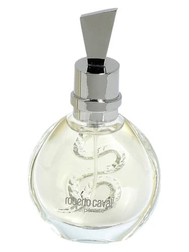Serpentine Silver - سیلور سرپانتین