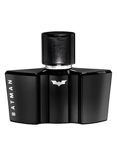 Batman The Dark Night Rises