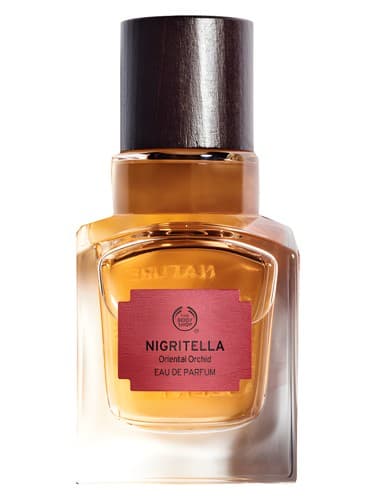 Nigritella - نیگریتلا