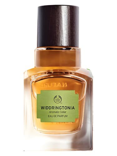 Widdringtonia