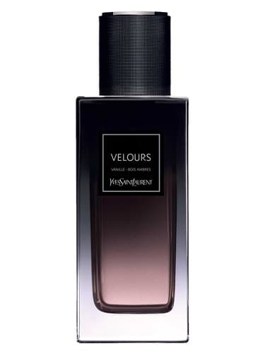 Velours Vanille - Bois Ambres