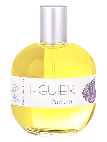 Figuier - فیگویر