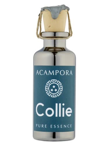 Collie – Pure Essence