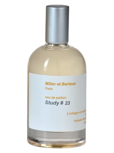 Study No. 23 / Newsletter - مطالعه شماره 23 / خبرنامه