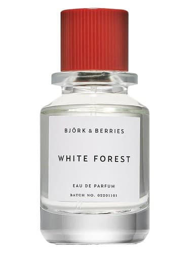 White Forest - جنگل وایت