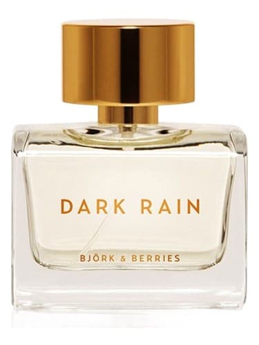 Dark Rain - باران دارک