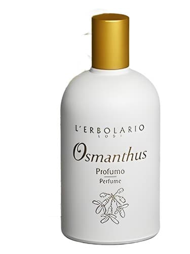 Osmanthus