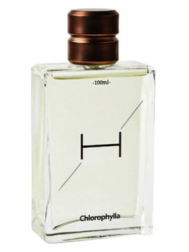 H - اچ