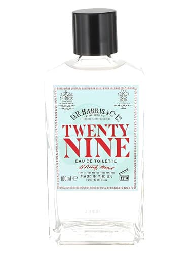 Twenty Nine - بیست و نه