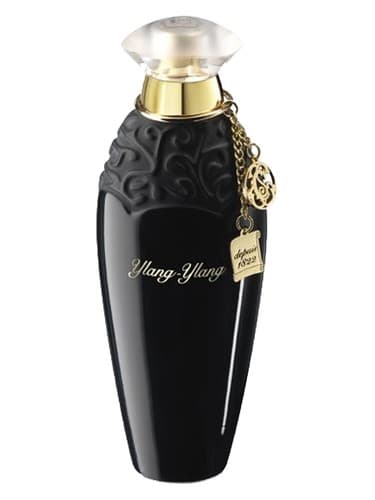 Ylang Ylang - یلانگ یلانگ