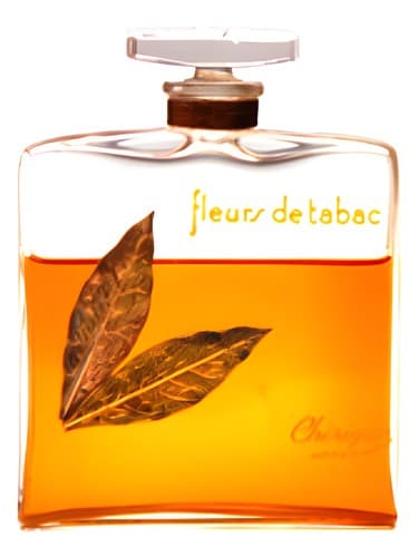 Fleurs de Tabac - فلورز د تاباک
