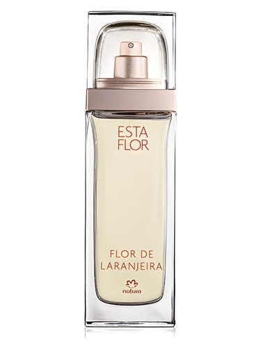 Esta Flor Flor de Laranjeira - استا فلور فلور د لارانجیرا