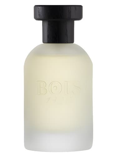 Vetiver Ambrato - وتیور آمبراتو